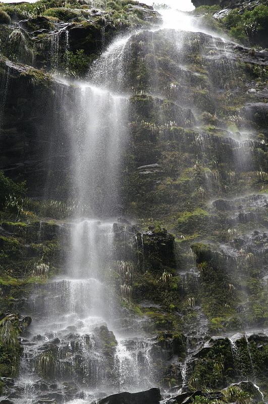 PICT83028_081229_Doubtful_1.jpg - Wasserfall am Doubtful Sound